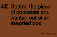 443-chocolate