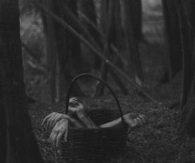 Basket full of chopped off arms