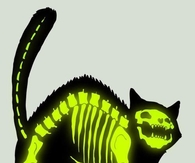 Glowing cat x ray