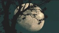 Full Moon