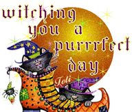 Witching you a purrrfect Day