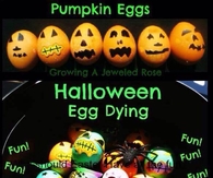 Halloween Pumpkin Eggs