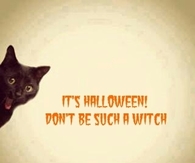Its halloween dont be such a witch