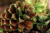 Glitter Pinecone