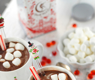 Hot Chocolate and Marshmallows