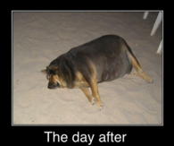 The day after Halloween