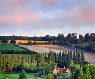 Lavender Farm