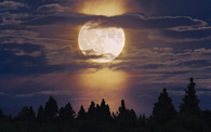 Bright moon