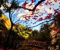 Pretty autumn 