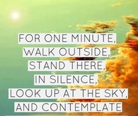 Contemplate how amazing life is
