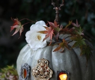 Pumpkin carriage