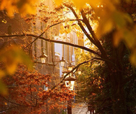 Autumn lamp post
