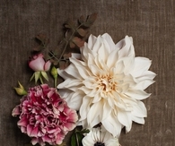 Flower arrangement