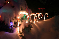 Candy Cane Outdoor Lights