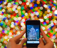 Picture of a christmas tree