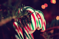 Christmas Peppermint Candy Canes