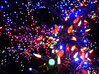 Christmas Lights