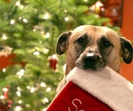 Santa i can explain