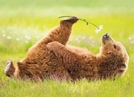 Take Some Time Out!!