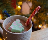 Hot chocolate with christmas tree marshmallow