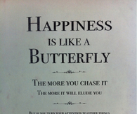 Happiness is like a butterfly