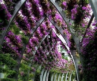 Perfect, Beautiful Place 4 A Wedding!!