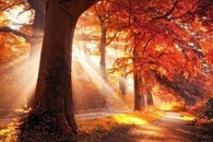 A Glimpse Of The Sun In Autumn!!