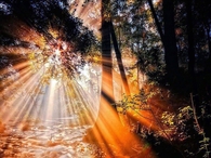 Blazing Orange!!