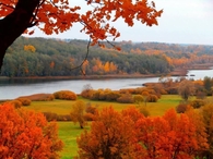 The Beauty Of Autumn Foliage!