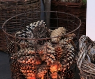 Pine cones and candle