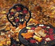 Outdoor patio with leaves