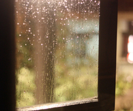 Wet window pane