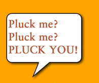 Pluck me?