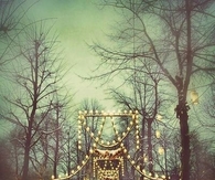 Holiday lights