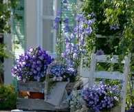 Garden Chairs
