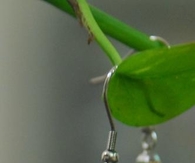 elegant earrings