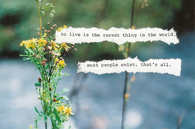 To live is the rarest thing