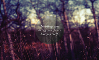Nothing can bring you peace but yourself