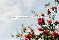 Dont give up now