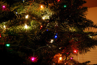 Christmas Lights