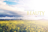 Life is full of beauty, notice it