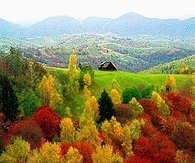 Fall Landscape