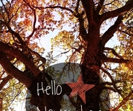 Hello November