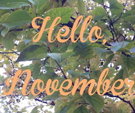 Hello November