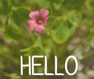 Hello November