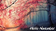 Hello November