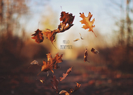 Hello November