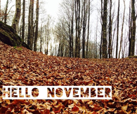 Hello November