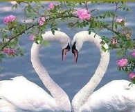 Authentic  Love Symbol!!