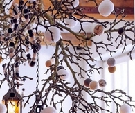 Rustic holiday